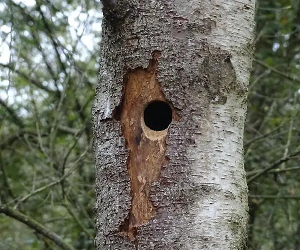 Beekse Brink 住宿加早餐酒店 3*