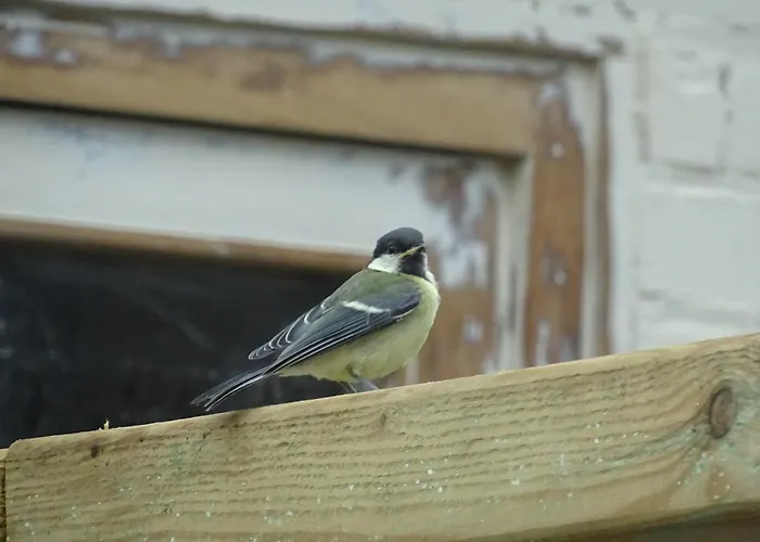 Bed and breakfast Beekse Brink Zeddam