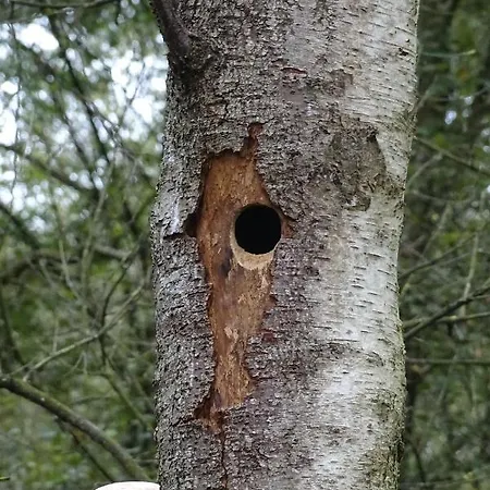 Beekse Brink ベッド・アンド・ブレックファスト 3*